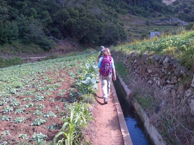 Madeira: Maroços Landscapes 2.5-Hour Guided Walk - Final Thoughts: Is This Tour Worth It?