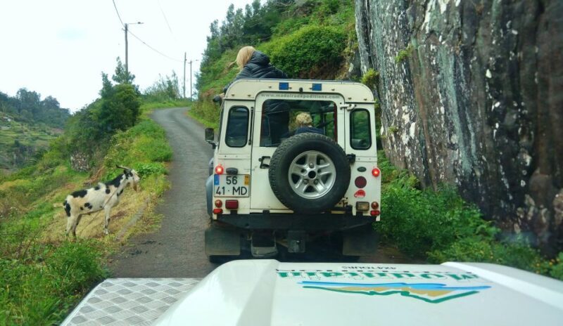 Madeira: Mini-Combo East Challenge: Jeep Safari + Levada - One consideration to keep in mind
