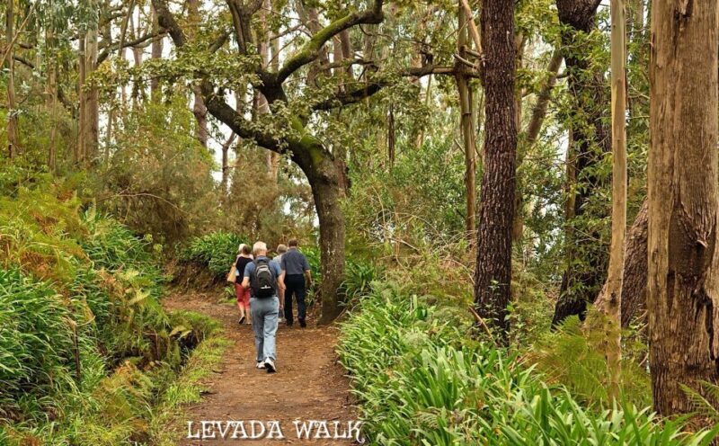 Madeira: Mini-Combo East Challenge: Jeep Safari + Levada - The Sum Up