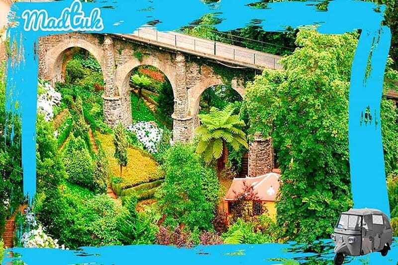 Madeira: Monte Toboggan + Old Town Tuk-Tuk Tour by MadTuk - Practical Details and Value