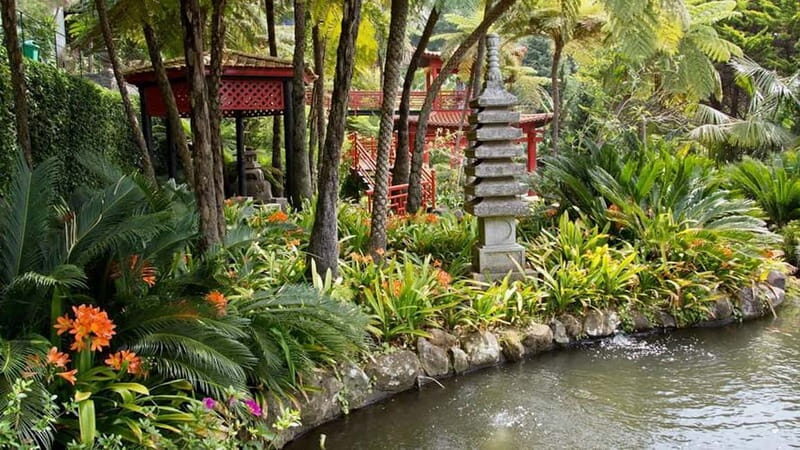 Madeira: Monte Tropical Gardens + Old Town Tuk Tuk by MadTuk - A Practical and Authentic Introduction to Madeira