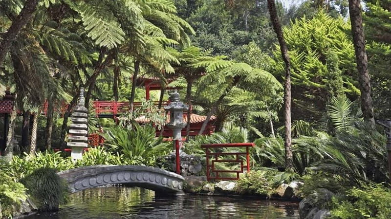 Madeira: Monte Tropical Gardens + Old Town Tuk Tuk by MadTuk - The Scenic Ride and the Charm of Monte
