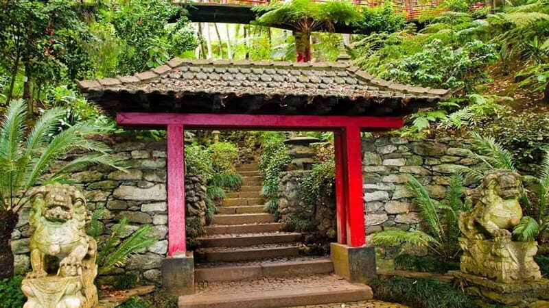 Madeira: Monte Tropical Gardens + Old Town Tuk Tuk by MadTuk - The Sum Up