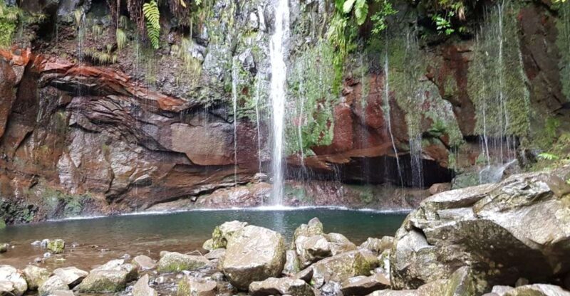 Madeira: Mountain Walk with Lagoon and Waterfalls - An In-Depth Look at the Madeira Mountain Walk Experience