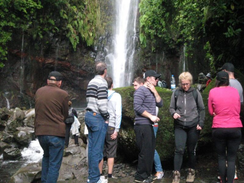 Madeira: Mountain Walk with Lagoon and Waterfalls - The Sum Up