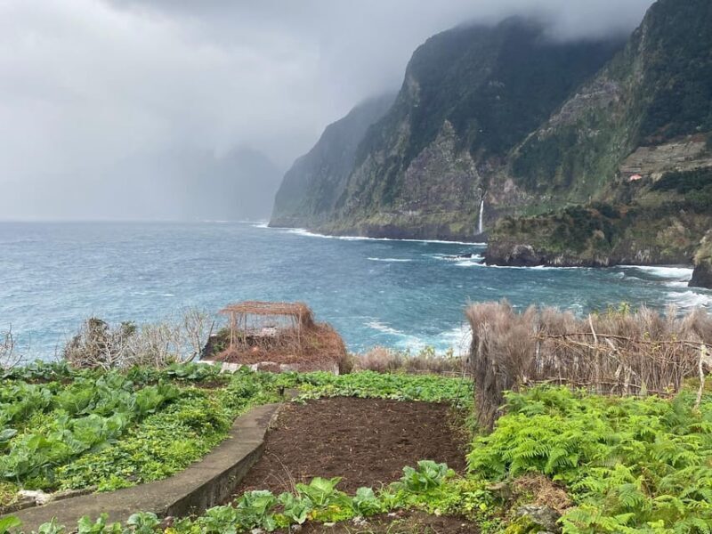 Madeira Northern Express, Private tour 4x4 - Value for Money