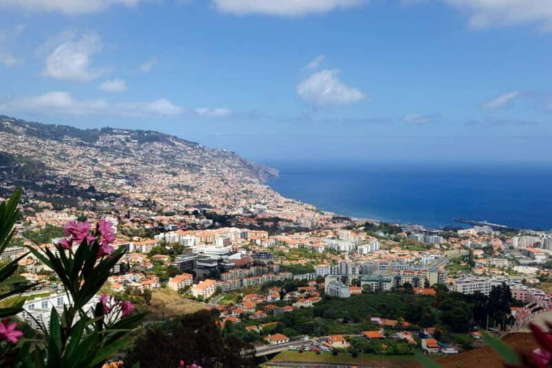 Madeira: Nuns Valley and Câmara de Lobos Half-Day Tour - A Detailed Look at the Tour Experience