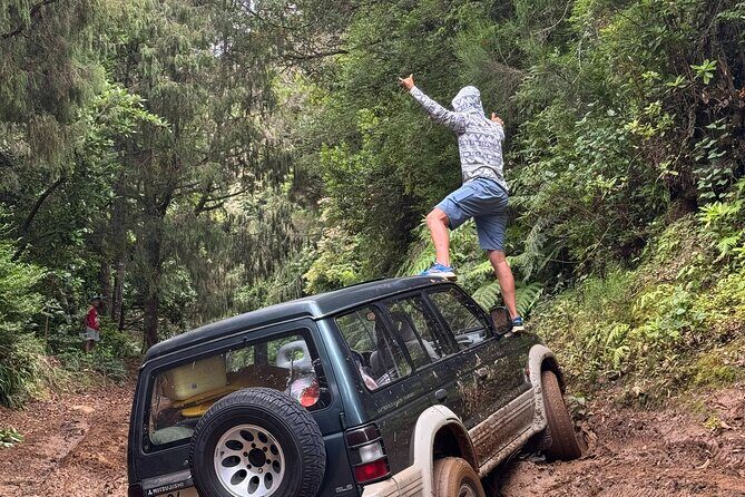 Madeira Off-Road 4x4 Jeep Adventure Private Full day Tour - Madeira Off-Road 4x4 Jeep Adventure Private Full Day Tour: A Deep Dive into Madeira’s Hidden Corners