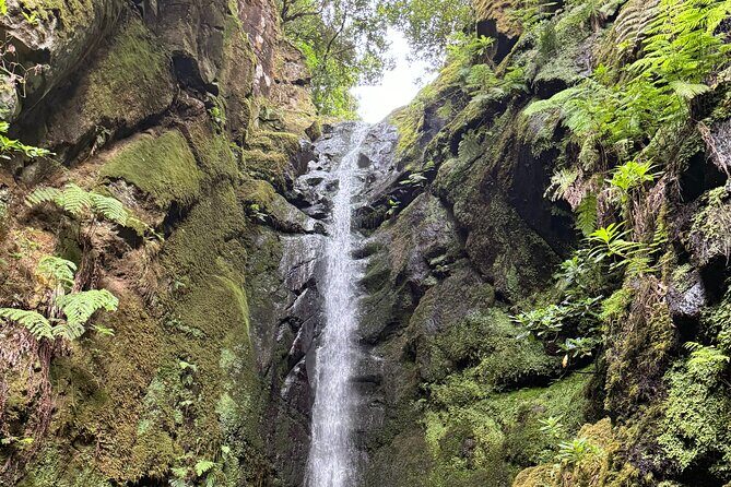 Madeira Off-Road 4x4 Jeep Adventure Private Full day Tour - Exploring the Madeira Off-Road Jeep Adventure: What to Expect