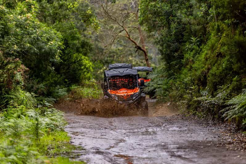 Madeira: OFF-ROAD BUGGY ADVENTURE TO FUNDURAS - A Practical Look at Madeira’s Off-Road Buggy Tour