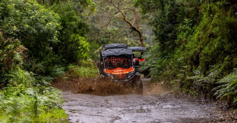 Madeira: OFF-ROAD BUGGY ADVENTURE TO FUNDURAS - Final Thoughts: Is This Tour for You?