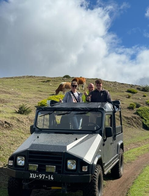 Madeira: Off-Road Buggy Tour in Mountains and Viewpoints - Who Would Enjoy This Tour?