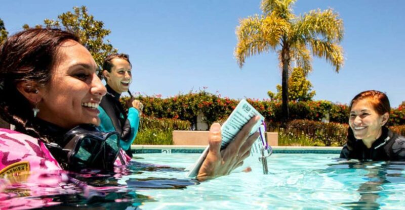 Madeira: Open Water Diver First Certification Course - What You Can Expect from the Itinerary