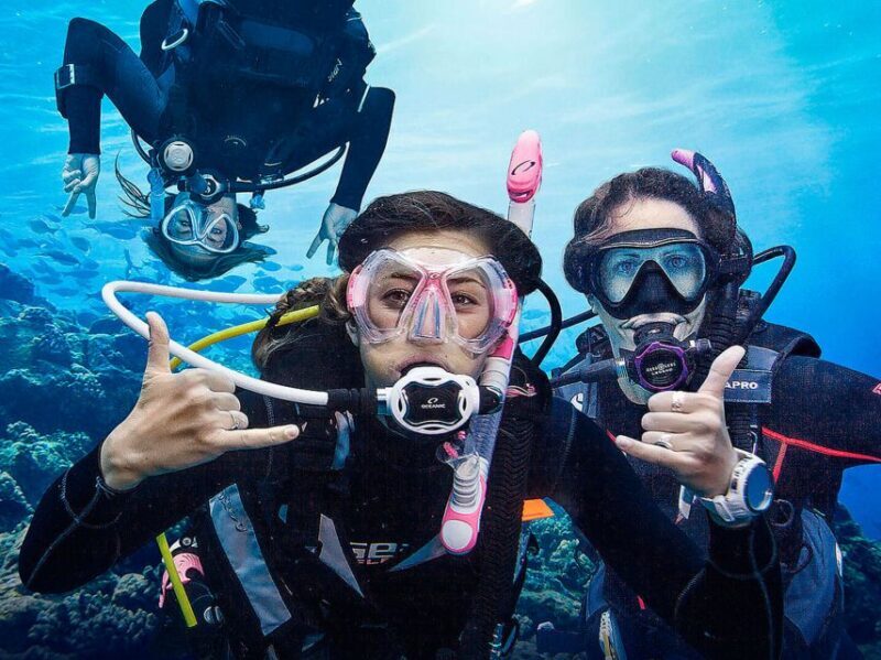 Madeira: Open Water Diver First Certification Course - Who Should Consider This Course?