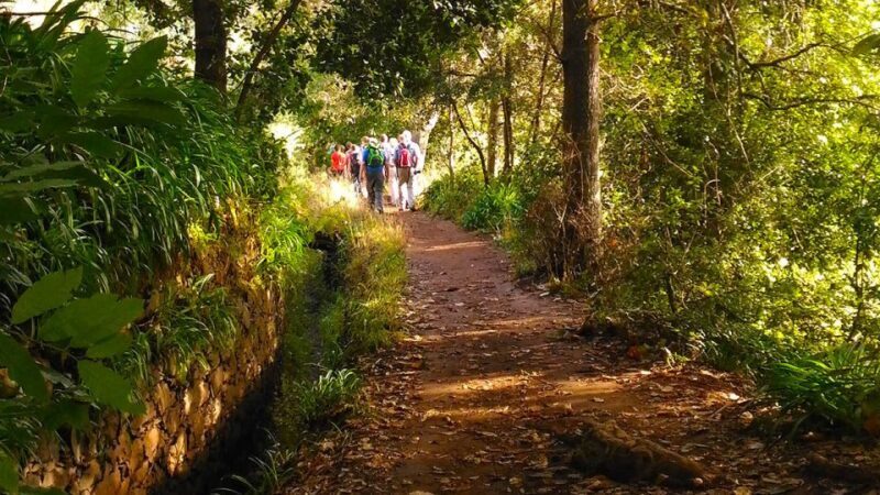 Madeira: Paradise Valley Levada Walk - Who is this tour best suited for?