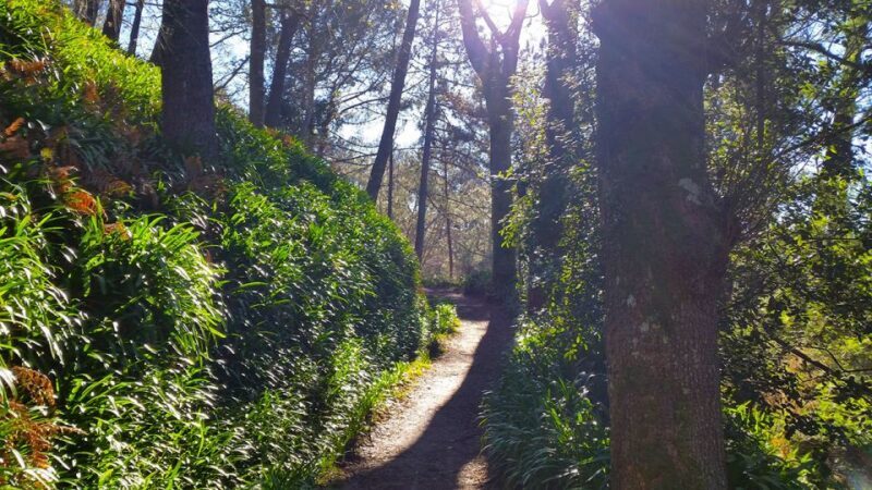 Madeira: Paradise Valley Levada Walk - The Sum Up: Is it worth it?
