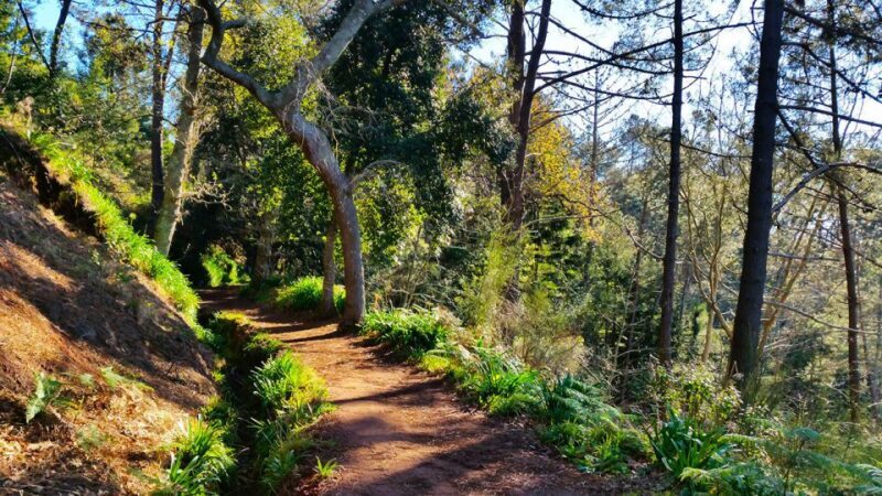 Madeira: Paradise Valley Levada Walk - FAQ