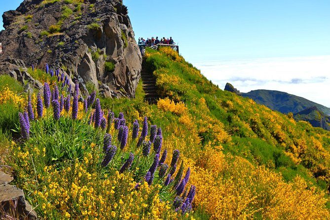 Madeira Peaks - Mountain Walk - Authentic Experiences & Tips from Travelers