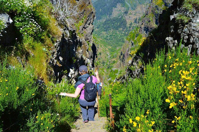 Madeira Peaks - Mountain Walk - The Sum Up: Who Will Love This Tour?