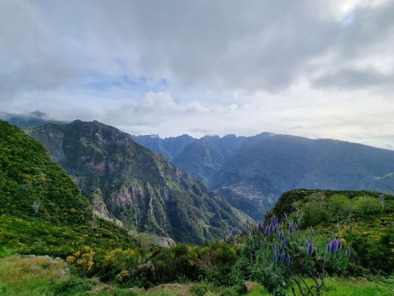 Madeira: Picturesque Peaks and Skywalk private 4x4 Jeep tour - The Sum Up