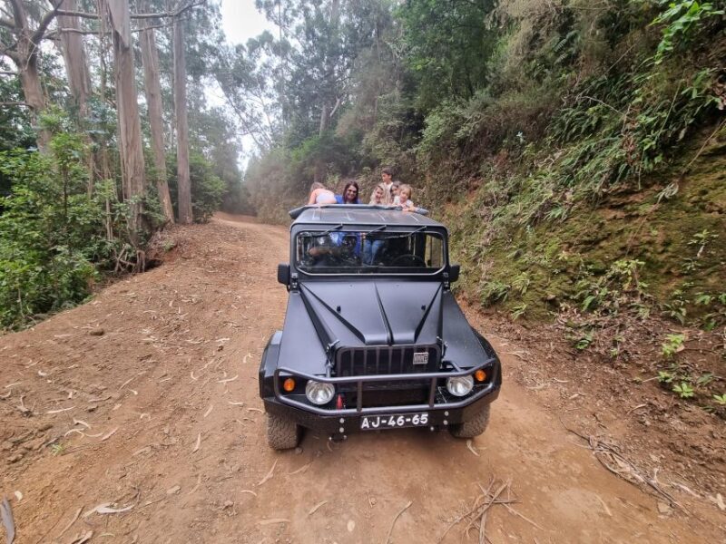 Madeira: Picturesque Peaks and Skywalk private 4x4 Jeep tour - FAQs
