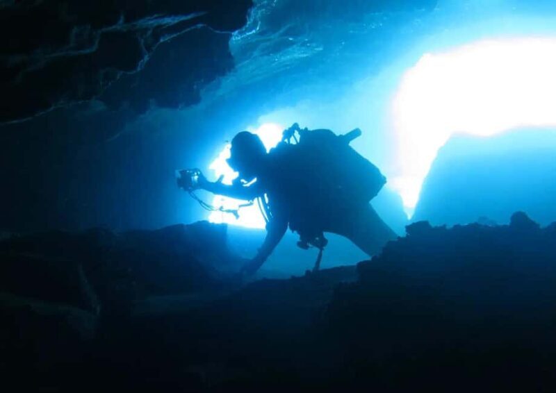 Madeira: Ponta de São Lourenço Shore Dive (certified divers) - Practical Tips for Your Dive