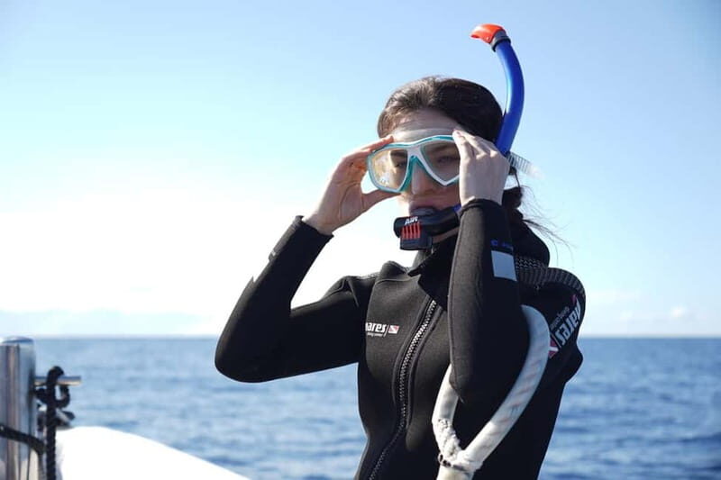 Madeira: Ponta de São Lourenço Snorkeling Boat trip - What’s Included and What to Keep in Mind