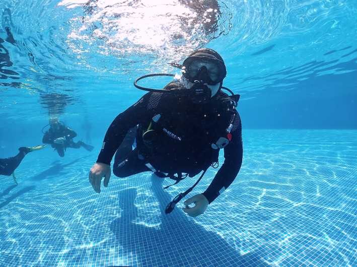 Madeira, Ponta São Lourenço: Scuba Diving for Beginners - A Deep Dive into the Experience