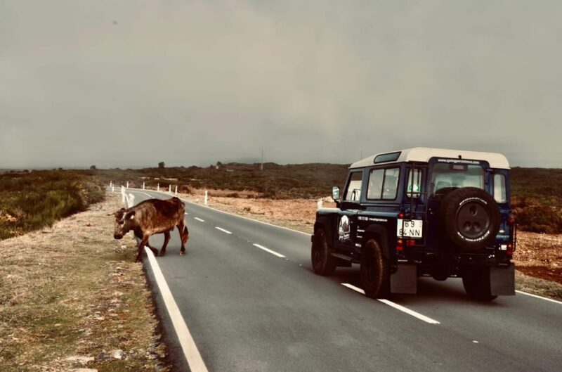 Madeira: Porto Moniz: Wild West Tour: In 4*4 car: Duration 7.5h - FAQs