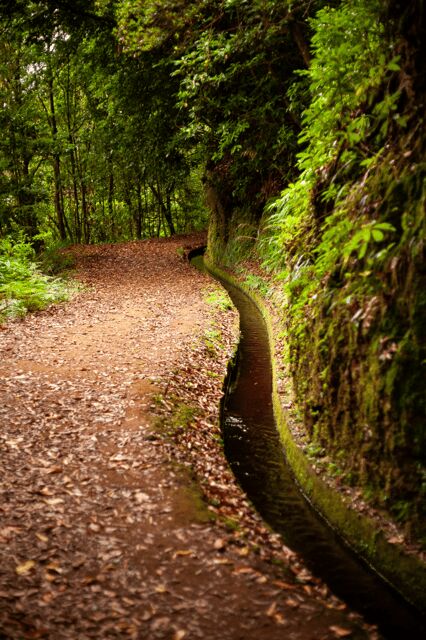 Madeira: PR 18 - Levada do Rei Hike Transfer - Madeiras’s PR 18 - Levada do Rei Hike Transfer: A Detailed Review