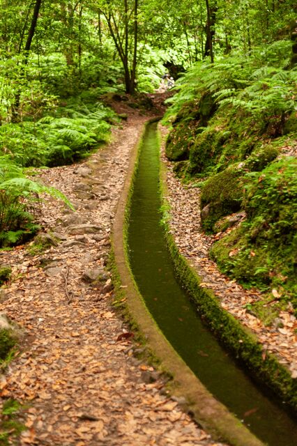 Madeira: PR 18 - Levada do Rei Hike Transfer - Key Points
