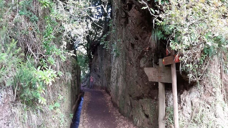 Madeira: Private 1.5-Kilometer Levada dos Balcões Hike PR11 - The Itinerary and What to Expect