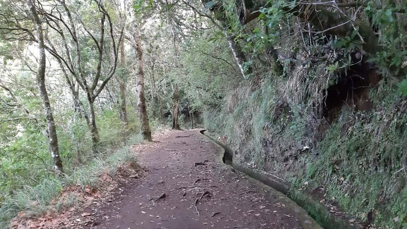 Madeira: Private 1.5-Kilometer Levada dos Balcões Hike PR11 - Who Would Love This Experience?