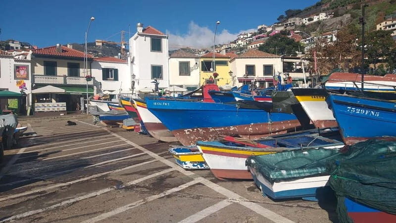 Madeira Private 4-Seater Mercedes VIP - Who Should Choose This Tour?
