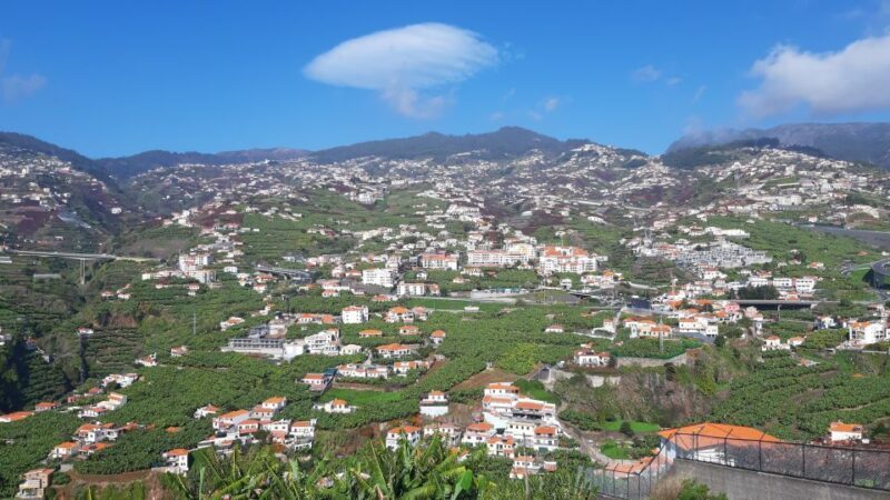 Madeira: Private Banana Farm Tour with Pickup - Who Will Love This Tour?