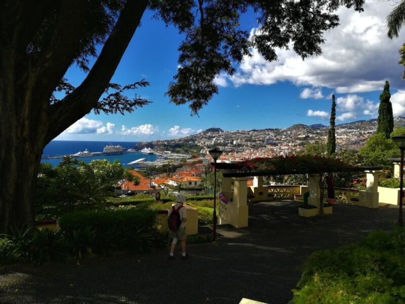 Madeira: Private Funchal City Tour in a Tukxi - Final Thoughts