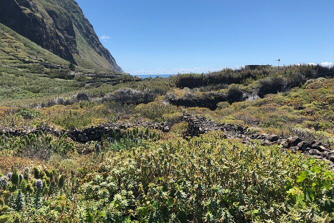 Madeira: Private Guided Half-Day Tour of Northwest Madeira - FAQ