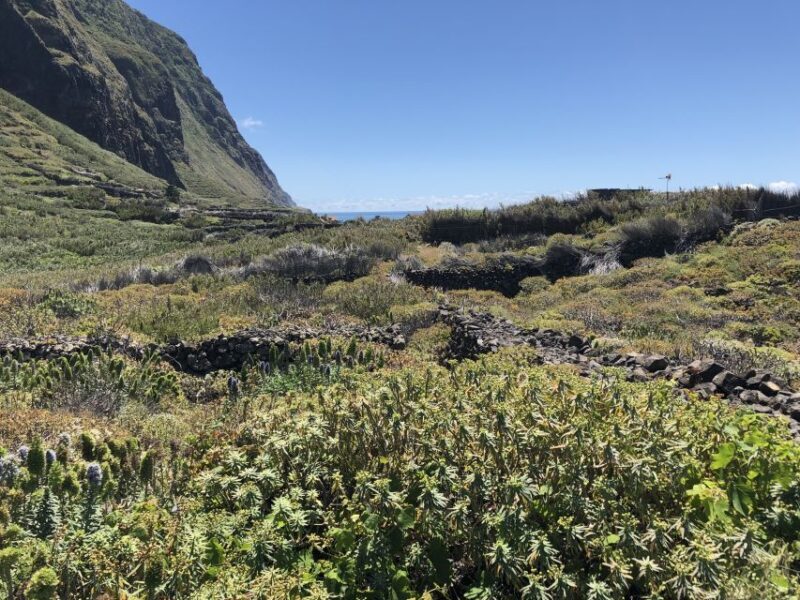 Madeira: Private Guided Half-Day Tour of Northwest Madeira - Exploring Madeira’s North: A Deep Dive into the Private Half-Day Tour