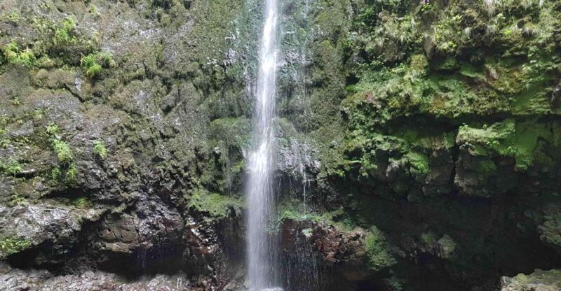 Madeira: Private Guided Levada Caldeirão Verde Walk PR9 - Why This Tour Offers Great Value