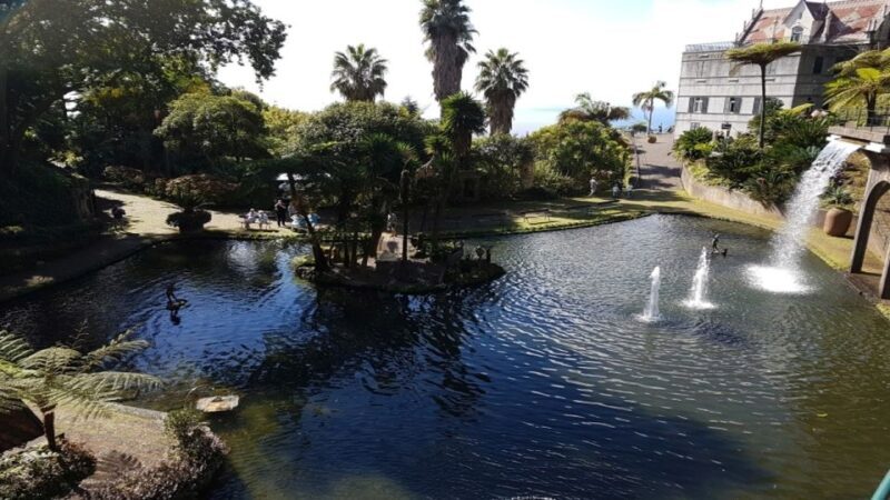 Madeira: Private Half-Day Guided Gardens Tour - An In-Depth Look at the Madeira Gardens Tour