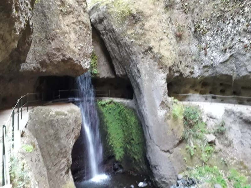 Madeira: Private Half-Day Walking and 4x4 off-road Tour - Madeira: Private Half-Day Walking and 4x4 off-road Tour