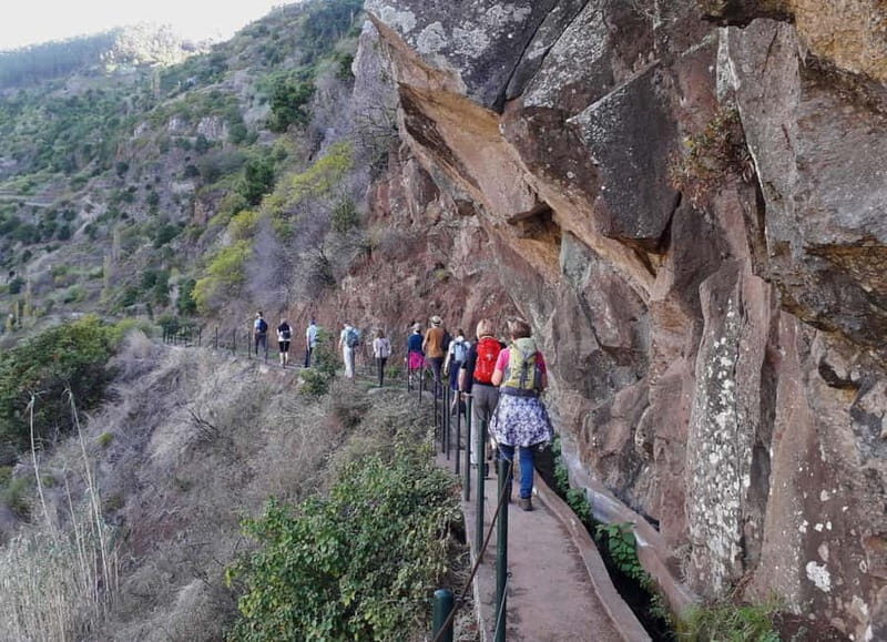 Madeira: Private Half-Day Walking and 4x4 off-road Tour - Who Will Love This Tour?