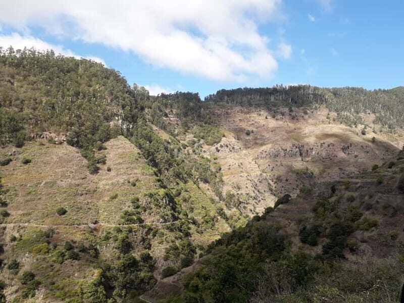 Madeira: Private Half-Day Walking and 4x4 off-road Tour - The Sum Up