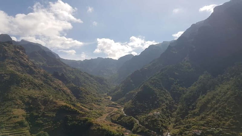 Madeira: Private Laurisilva Tour - A Deep Dive into the Madeira: Private Laurisilva Tour
