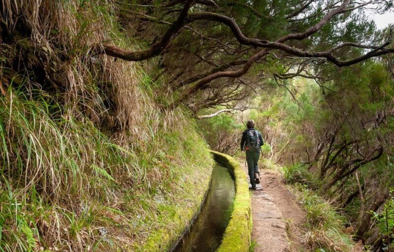 Madeira: Private Levada/Hike Experience with a Local Guide - The Sum Up