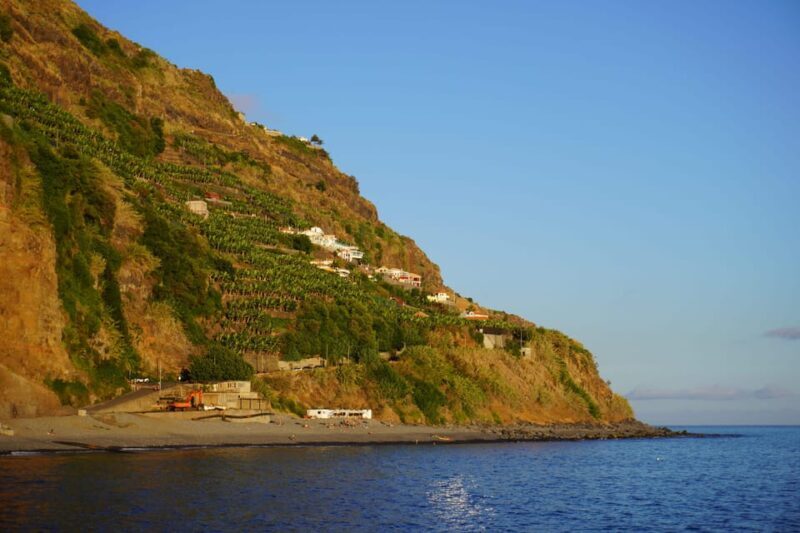 Madeira Private Premium Eco-Friendly Tour in Electric Car - What to Expect from the Day
