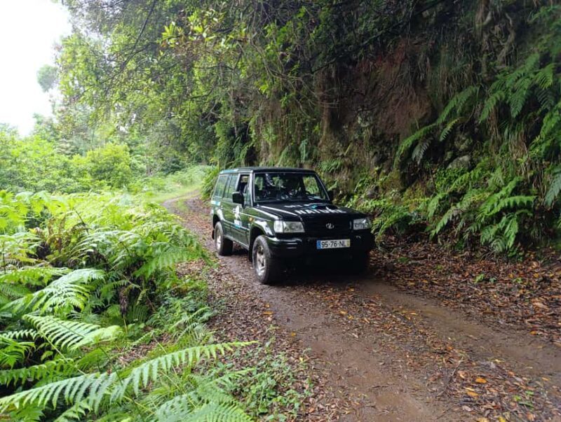 Madeira: Private Romantic Jeep Tour & Secret Picnic for Two - The Sum Up