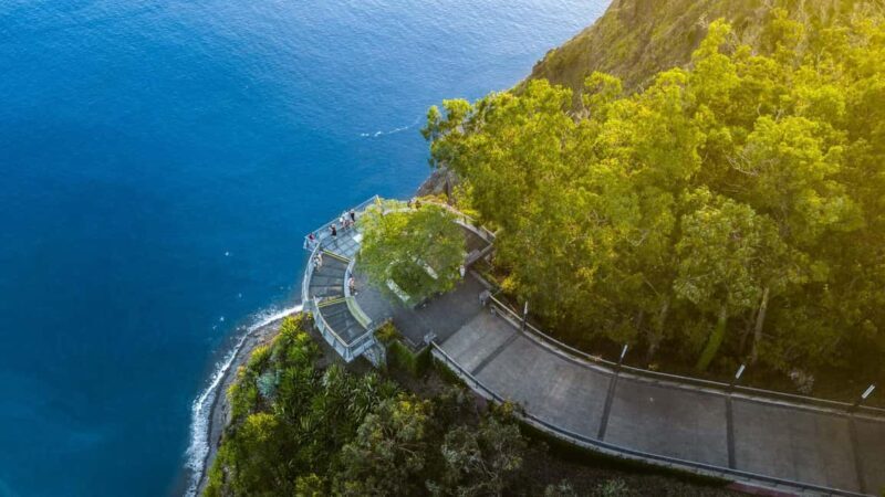 Madeira: Private Tour for Cruise Ship Passengers - Why Choose This Tour?