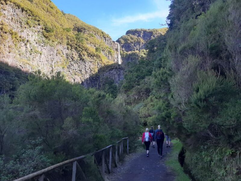 Madeira: Private Walking Tour of Levada das 25 Fontes PR6 - Madeira: Private Walking Tour of Levada das 25 Fontes PR6