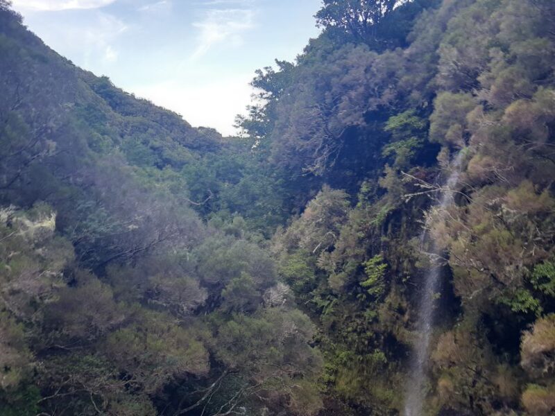 Madeira: Private Walking Tour of Levada das 25 Fontes PR6 - Who Will Love This Tour?